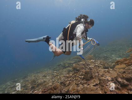 Caccia subacquea al leone, una specie invasiva, zona marina protetta, Granada Caraibi Foto Stock
