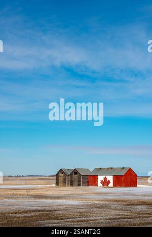 Bandiera canadese con l'iconica foglia di acero rosso dipinta su un vecchio fienile, tra i campi di fieno raccolti, nella campagna del nord dell'Alberta. Foto Stock