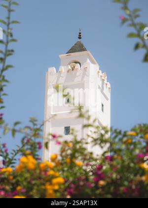 La Tunisia, Sidi Bou Said, moschea Foto Stock