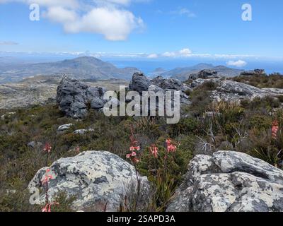 Escursioni a Table Mountain Foto Stock