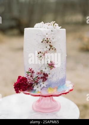 Una torta splendidamente decorata sorge su un piedistallo rosa, caratterizzato da una miscela di colori pastello e adornata con fiori freschi. La luce naturale soffusa Foto Stock