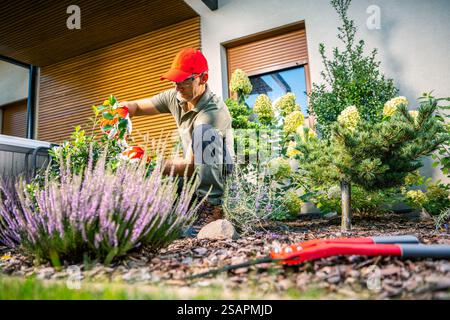 Un giardiniere in un berretto rosso rifinisce accuratamente la lavanda e altre piante in un vivace giardino residenziale durante il giorno, assicurando che i fiori siano ben tenuti Foto Stock