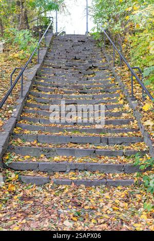 I gradini di pietra sono circondati da foglie autunnali colorate, che conducono in una tranquilla area del parco. Il paesaggio naturale riflette la bellezza dell'autunno con i vivaci foli Foto Stock