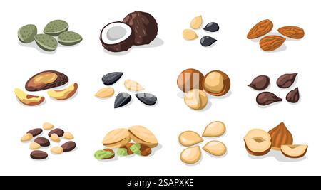 Noci e semi. Snack sani, frutta secca arrostita colorata e semi secchi, cibo vegetariano sano, noci e semi concetto di nutrizione. Gruppo vettoriale. Deliziosi pistacchi, nocciole e cocco. Noci e semi. Snack sani, frutta secca arrostita colorata e semi secchi, cibo vegetariano sano, noci e semi concetto di nutrizione. Gruppo vettoriale Illustrazione Vettoriale