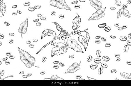 Schema del caffè. Grani di arabica trafilati a mano senza cuciture. Ramo naturale dell'albero e foglie. Semi aromatici tostati. Ingrediente organico bianco e nero per la preparazione di bevande a base di espresso. Sfondo vettoriale. Schema del caffè. Grani di arabica trafilati a mano senza cuciture. Ramo d'albero e foglie. Semi aromatici tostati. Ingrediente bianco e nero per la preparazione di una bevanda espresso. Sfondo vettoriale Illustrazione Vettoriale