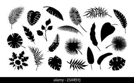 Silhouette esotica a foglia. Monstera tropicale e rami di banane. Fronde di palme da cocco bianche e nere. Mockup di fogliame estivo. Piante isolate della giungla. Set di elementi naturali decorativi vettoriali. Silhouette esotica a foglia. Monstera tropicale e rami di banane. Fronde di palme da cocco bianche e nere. Fogliame estivo. Piante isolate nella giungla. Set di elementi naturali decorativi vettoriali Illustrazione Vettoriale