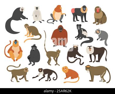 Scimmie dei cartoni animati. Esotici animali tropicali selvatici. Diversi tipi di razze di primati. Mandrill isolato e bekantan. Lemure di arrampicata. Divertente scimpanzé o orangutan. Scimmie pelose con code. Set fauna vettoriale. Scimmie dei cartoni animati. Animali tropicali esotici. Diversi tipi di razze di primati. Mandrill e bekantan. Lemure di arrampicata. Divertente scimpanzé o orangutan. Scimmie pelose con code. Set fauna vettoriale Illustrazione Vettoriale