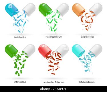 Le pillole Probiotics impostano un'illustrazione con isolamento vettoriale. Lactobacillus, propionibacterium, streptococcus, enterococcus, lactobacillus, batteri probiotici compatibili con il bifidobatteri in capsule colorate realistiche. Set di pillole probiotiche, illustrazione realistica isolata dal vettore Illustrazione Vettoriale