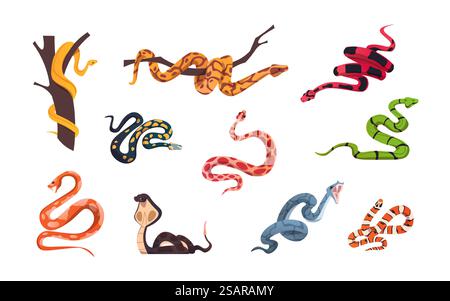 Serpenti dei cartoni animati. Rettili tossici tropicali. Collezione di animali a sangue freddo della foresta e dello zoo. Pitone isolato sul ramo dell'albero. Attaccare cobra e viper. Set di serpenti striscianti pericolosi. Vita selvaggia vettoriale. Serpenti dei cartoni animati. Rettili tossici tropicali. Collezione di animali a sangue freddo della foresta e dello zoo. Python sul ramo degli alberi. Attaccare cobra e viper. Serpenti pericolosi. Vita selvaggia vettoriale Illustrazione Vettoriale