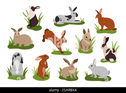 Coniglio cartoni animati. Simpatici coniglietti con pellicce di vari colori. Animali domestici isolati e divertenti sdraiati e saltati sull'erba. Adorabili lepri selvatiche. Animali seduti o deposti sul prato. Roditori vettoriali allegri e soffici. Coniglio cartoni animati. Simpatici coniglietti con pellicce di vari colori. Animali domestici isolati che giacciono e saltano sull'erba. Adorabili lepri selvatiche. Animali seduti o deposti sul prato. Roditori vettoriali morbidi Illustrazione Vettoriale