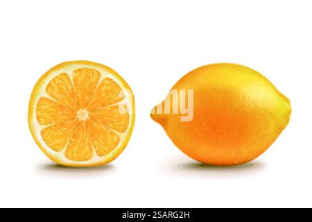 Mezzo limone giallo e intero Illustrazione Vettoriale