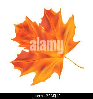 Foglia d'acero realistico. Foglia d'albero autunnale vettoriale isolata su sfondo bianco per la progettazione di biglietti d'auguri, striscioni e poster Illustrazione Vettoriale