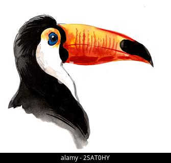 Testa di uccello Toucan. Illustrazione ad acquerello disegnata a mano Foto Stock