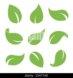 Foglie verdi isolate su sfondo bianco. Icone vettoriali piatte per logo biologico, prodotti naturali ed ecologici, cosmetici, farmacia, medicina, scienza. Simbolo dell'estate e della vita Illustrazione Vettoriale