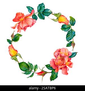 Corona floreale acquerello con rose rosso-gialle in fiore, foglie verdi e gemme isolate su sfondo bianco. Illustrazione botanica dipinta a mano Foto Stock