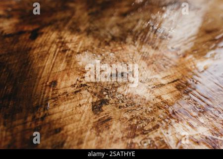 Primo piano di una superficie in legno lucido con finitura lucida, che mostra texture dettagliate Foto Stock