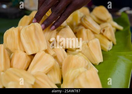 Questa immagine ravvicinata cattura un jackfruit fresco che riposa su una foglia di banana in un vivace mercato locale Foto Stock