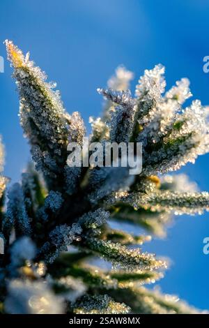 Cristalli smerigliati al sole della mattina presto contro il cielo blu Foto Stock