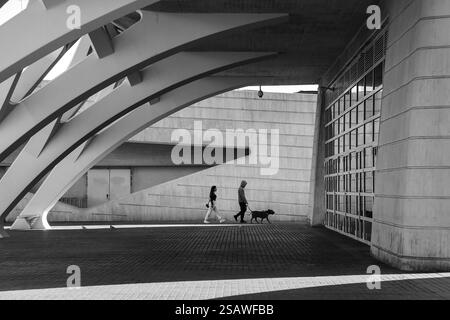 Valencia, Spagna - 27 dicembre 2024: Coppia che cammina con il suo cane a Valencia, Spagna Foto Stock