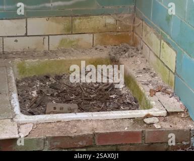 Il vecchio lavandino della doccia ha bisogno di essere rinnovato in un bagno Foto Stock
