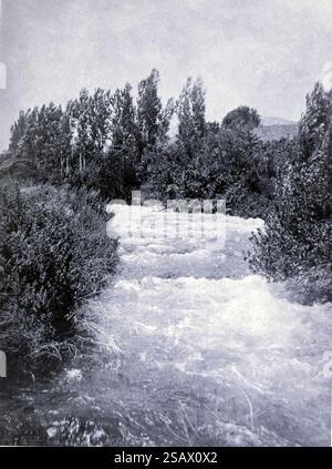 The River Jordan, Near ITS Source from 'The Holy Land' di Hichens, Robert Smythe, Black and White Photography pubblicato nel 1910 Foto Stock