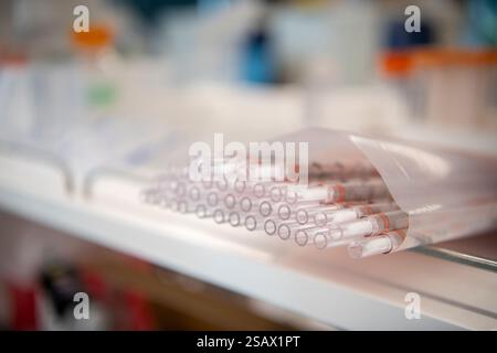 puntali per pipette di lunghezza estesa posizionati su ripiano per laboratori di scienze biotecnologiche Foto Stock