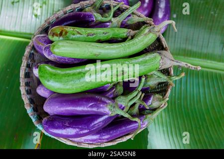 Direttamente sopra il bicchierino di melanzane lunghe viola e verde nel cestello Foto Stock