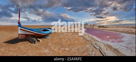 Chott el Djerid Salt Lake Tunisia - con una superficie di oltre 2.700 miglia quadrate, Chott el Djerid è più di 1,5 volte più grande della Great Sal Foto Stock