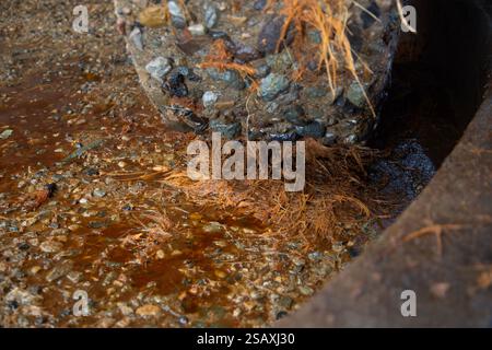 Tradizionale mulino in pietra per frantumare il maguey per la produzione di Mezcal a Oaxaca in Messico. Foto Stock