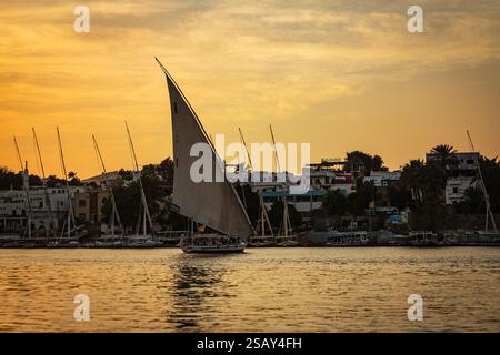 Tradizionale feluca a vela sul Nilo al tramonto, Assuan, Egitto Foto Stock
