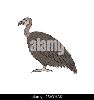 Disegno vettoriale disegnato a mano disegnato a forma di uccello avvoltoio griffon colorato isolato su sfondo bianco Illustrazione Vettoriale