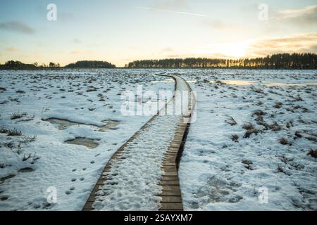 Cammina su un sentiero ecologico innevato attraverso la palude ghiacciata di torbiere all'inizio della primavera, nelle giornate di sole Foto Stock