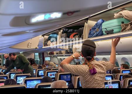 Aereo aereo Etihad, interni, file di posti con passeggeri. Boeing 787 su un volo per Monaco. Un assistente di volo ripone i bagagli in t Foto Stock