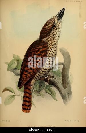Proceedings of the Zoological Society of London, London, Academic Press Periodicals, zoologia, museo di zoologia comparata Foto Stock