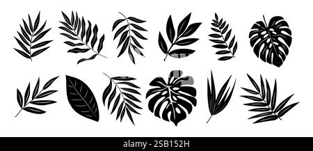 Set di silhouette nere di foglie tropicali Illustrazione Vettoriale