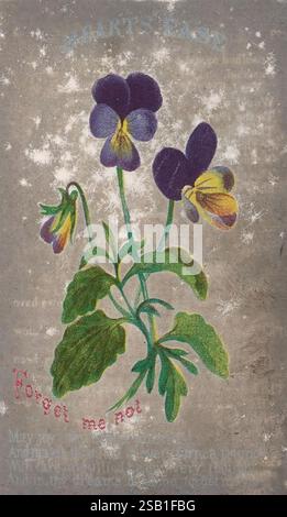 Cupid's basket, New York, G. A. Leavitt, 18--, linguaggio floreale, fiori, fiori in letteratura, poesia, linguaggio dei fiori, fiori, cuore, viola, Forget-me-Not, Una pagina splendidamente illustrata presenta una delicata disposizione di fiori "Forget-me-Not", con vivaci petali viola e accenti gialli. L'arte cattura i dettagli intricati dei fiori, compresa la loro forma e disposizione uniche. Sotto la rappresentazione floreale, la frase "Forget me Not" è elegantemente scritta, invitando alla contemplazione del suo significato sentimentale. Questa delicata illustrazione è completata da un morbido Foto Stock