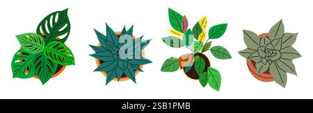 Set di piante in vaso, sopra la vista superiore isolato dal vettore Illustrazione Vettoriale