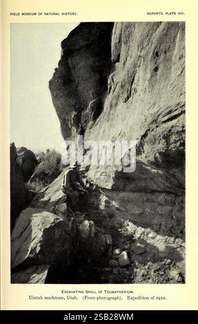 Rapporto annuale del direttore al Consiglio di amministrazione per l'anno, Chicago, Stati Uniti, Field Museum of Natural History, 1907-1943, Field Museum of Natural History, museo di storia naturale, storia naturale, periodici. La scena raffigura una formazione rocciosa aspra in un paesaggio naturale, che mostra le texture e gli strati unici di arenaria. In primo piano è presente una sezione della terra in cui sono stati intrapresi lavori di scavo, rivelando un cranio parzialmente scoperto di un Telmatherium, un genere estinto legato agli elefanti moderni. L'area circostante è caratterizzata da ripide scogliere e caratteristiche geologiche, suggerite Foto Stock
