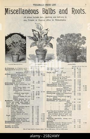 Dreer's wholesale price list edizione autunnale settembre-dicembre 1900, Philadelphia, Pa, Henry A. Dreer, 1900, fiori, verdure, calla, semi, agapanto, allium, cataloghi, vivai, orticoltura, bulbi, piante, azienda Henry A. Dreer, storie di giardini, in fiore Foto Stock