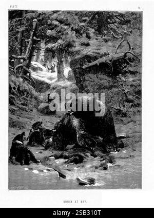 La, la vita, e, le abitudini, di, Wild, Animals, Londra, A, Macmillan, 1874, uccelli, comportamento animale, comportamento, Un orso potente, conosciuto come Bruin, è raffigurato riposare ai margini di un ambiente tranquillo della foresta. Circondato da alti alberi e sottobosco, l'orso sembra essere momentaneamente a suo agio, ma attento ai suoi dintorni. Alcuni animali più piccoli, forse volpi o procioni, osservano curiosamente da lontano, aggiungendo un senso di intrigo alla scena. L'interazione di luce e ombra accentua le texture della pelliccia dell'orso e gli elementi naturali che lo circondano, creando una vivida rappresentazione di wildlif Foto Stock