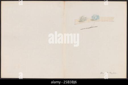 Disegni di funghi, non prima del 1839, funghi, opere pittoriche, Una delicata illustrazione presenta due piccole piante stilizzate raffigurate con colori tenui e sottili, posizionate su uno sfondo chiaro. Di lato, un ramo sottile e naturale poggia orizzontalmente, aggiungendo un elemento rustico alla composizione. Il layout complessivo richiama l'attenzione sulla semplicità e l'eleganza delle piante, creando un'estetica serena e minimalista. Nell'angolo inferiore, una firma aggiunge un tocco personale, suggerendo l'identità e l'intento artistico dell'artista. Foto Stock