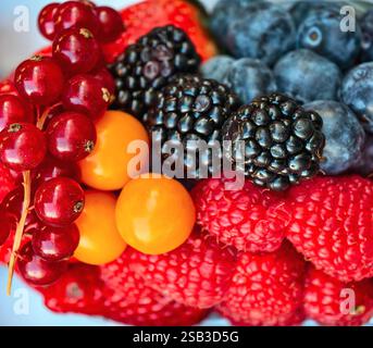 Foto macro di lamponi, mirtilli, more, ribes e fragole freschi. Dessert naturale perfetto e ingredienti salutari per Macedonia di frutta, spuntini estivi, colazione e cibi biologici. Foto Stock