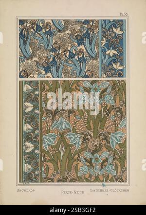 La plante et ses Applications ornementales, Paris, Librairie centrale des Beaux-Arts, E. Lé́vy, éditeur [1896], decorazione e ornamento, fiori d’arte, forme vegetali, la composizione presenta una serie dettagliata di motivi floreali con fiori di goccia di neve in vari stili artistici. La sezione superiore presenta una rappresentazione stilizzata di gocce di neve, accentuata da motivi vorticosi e intricati linework indicativi del design Art Nouveau. La sezione centrale presenta una disposizione più ampia e più elaborata di disegni floreali simili, che mostrano tonalità blu e terrose. Nella parte inferiore, una combinazione di motivi lussureggianti Foto Stock