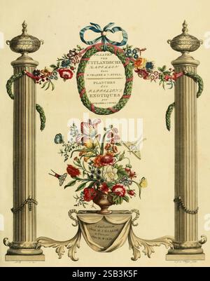 De uitlandsche kapellen, voorkomende in de drie waereld-deelen Asia, Africa en America, A Amsteldam, Chez Barthelmy Wild, 1779-1782 [vale a dire 1775-1782], lepidotteri, Suriname, opere pittoriche, l'opera presenta una disposizione decorativa ornamentale, fiancheggiata da due eleganti colonne adornate da ghirlande floreali. Nella parte superiore, un fiocco unisce un ricco assortimento di fiori. Al centro, un medaglione circolare mostra il titolo "Plantes Exotiques", circondato da fiori vivaci e delicati fogliame che fuoriescono da una ciotola decorativa alla base. Sotto l'esposizione floreale, il nome dell'artista è elegante Foto Stock
