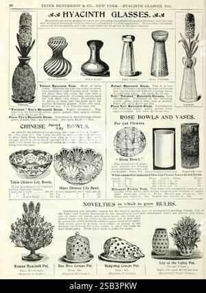 Catalogo bulbi autunnali, New York, Peter Henderson & Co, 1900, fiori, giardinaggio, semi, vasi, cataloghi, attrezzature e forniture, bulbi, piante, cataloghi commerciali, Peter Henderson Co, storie di giardini, in fiore, questa collezione presenta vari stili di bicchieri e vasi da Giacinto, oltre a una selezione di ciotole e pentole progettate per la coltivazione di bulbi. La pagina presenta illustrazioni complesse dei vasi, evidenziandone forme uniche ed elementi decorativi. Tra gli oggetti esposti ci sono opzioni come il vaso di Giacinto Vernal e il vetro di Giacinto brevettato, ognuno personalizzato per migliorare il display Foto Stock