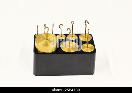 Pesi a gancio in ottone attrezzature di misurazione per laboratori scientifici in contenitore su tavolo su sfondo bianco. Foto Stock