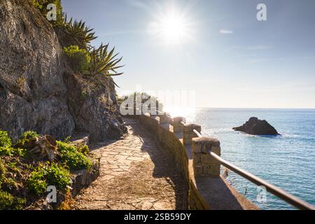 Vista sul sentiero pedonale via dell'amore nell'area del Parco Nazionale delle cinque Terre, Liguria, Italia. Mare Mediterraneo e costa nelle soleggiate giornate estive. Fotografia di paesaggi Foto Stock