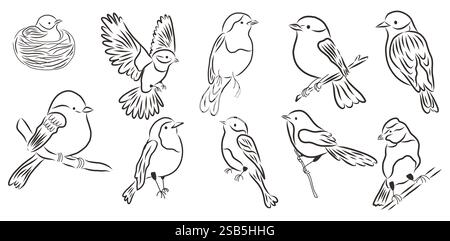 Doodle elegante set di uccelli primaverili. Design vettoriale disegnato a mano. Illustrazione Vettoriale