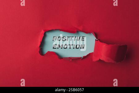 Sfondo rosso con una parola blu che dice emozione positiva scritta in nero. La parola positivo è scritta in un carattere più grande della parola emozione Foto Stock