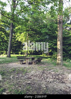 Il tavolo da picnic in legno si trova in un campo erboso accanto a una foresta. La tavola è vuota e l'area circostante è piena di alberi e erba. Concetto di t Foto Stock